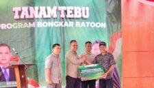 Program bongkar ratoon di Kabupaten Kediri menjadi bagian dari upaya Kementan dan PT SGN meningkatkan produktivitas kebun tebu dan menjaga pasokan bahan baku industri gula nasional (foto: kementerian pertanian)