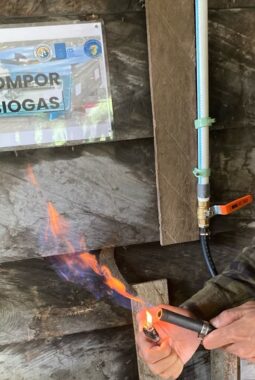 Biogas dari Kotoran Sapi Bantu Warga Manokwari Selatan Atasi Kelangkaan Minyak Tanah