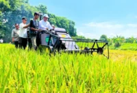 Aktivitas panen padi di lahan persawahan. BPS mencatat produksi padi nasional Januari-Agustus 2026 (foto: kementerian pertanian)