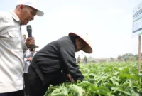 Kunjungan Mentan Amran ke Pusat Inovasi Agro Teknologi (PIAT) UGM di Yogyakarta (foto: kementerian pertanian)