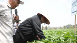 Kunjungan Mentan Amran ke Pusat Inovasi Agro Teknologi (PIAT) UGM di Yogyakarta (foto: kementerian pertanian)
