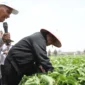 Kunjungan Mentan Amran ke Pusat Inovasi Agro Teknologi (PIAT) UGM di Yogyakarta (foto: kementerian pertanian)