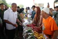 Wamentan Saleh saat menghadiri GPM Nasional di Jakarta (foto: kementerian pertanian)
