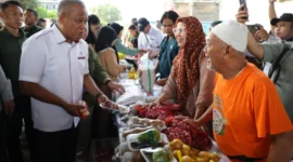 Wamentan Saleh saat menghadiri GPM Nasional di Jakarta (foto: kementerian pertanian)