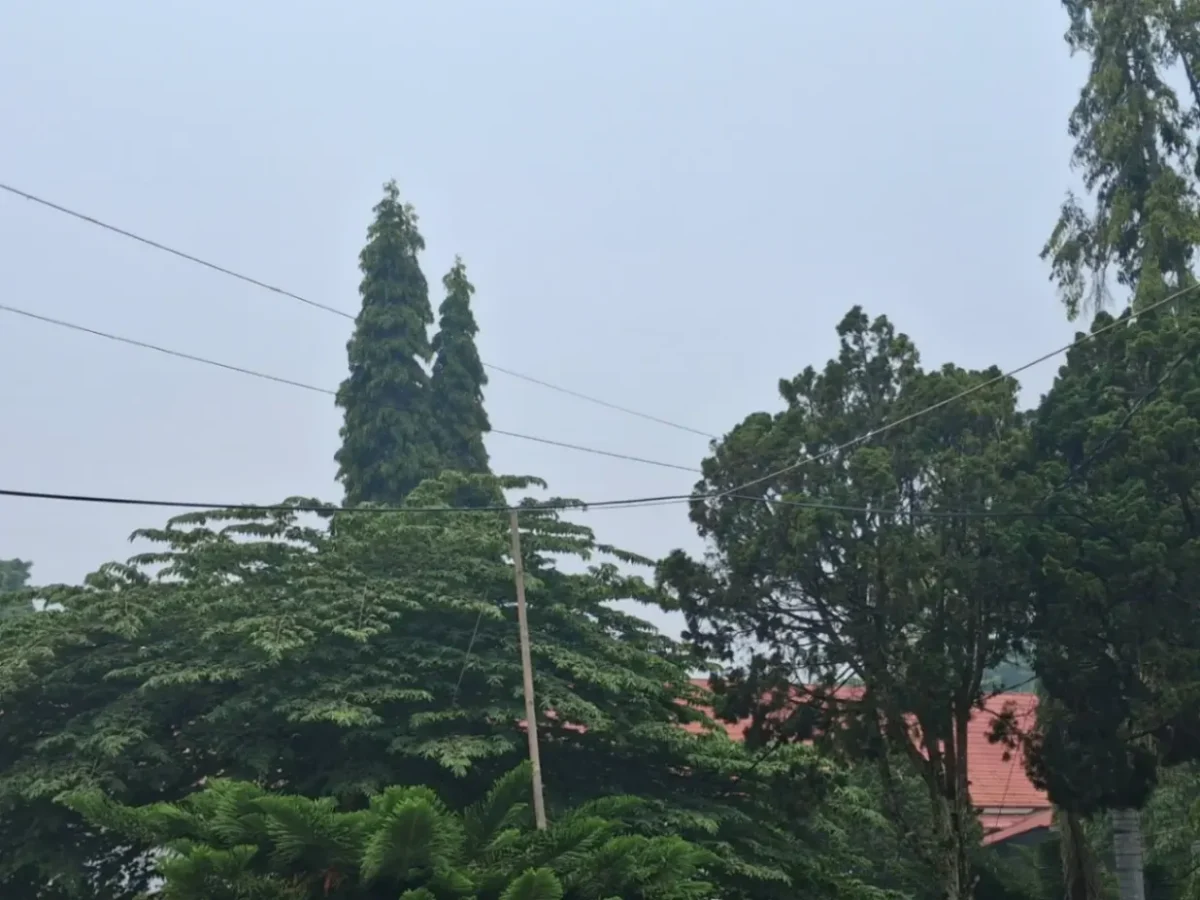 kualitas udara di Kota Jambi menunjukkan kondisi tidak sehat hingga sangat tidak sehat sehingga BMKG mengimbau warga mengurangi paparan udara luar (foto: dok. sisipublik.com)