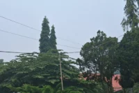 kualitas udara di Kota Jambi menunjukkan kondisi tidak sehat hingga sangat tidak sehat sehingga BMKG mengimbau warga mengurangi paparan udara luar (foto: dok. sisipublik.com)