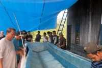 Warga dari empat kampung di Distrik Segun, Sorong, Papua Barat Daya, mengikuti pelatihan pembuatan kapal fiberglass bersama Tim Ekspedisi Patriot 8 Universitas Brawijaya (foto: kementerian transmigrasi)
