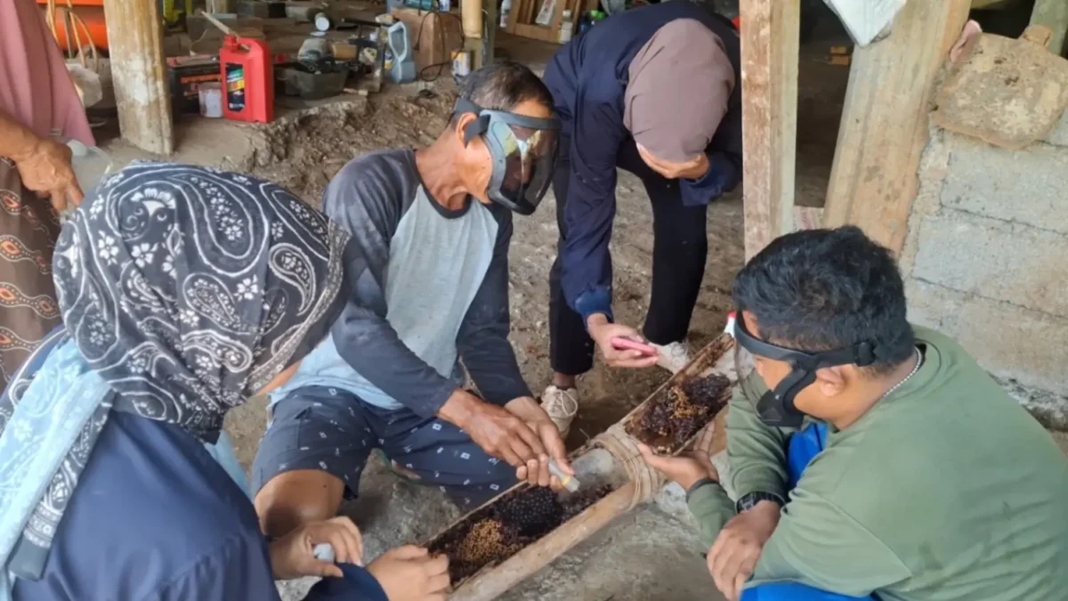 Peserta pelatihan TEP Universitas Airlangga mempelajari teknik budidaya lebah trigona sebagai peluang usaha madu bagi warga Kawasan Transmigrasi Sumalata (foto: kementerian transmigrasi)